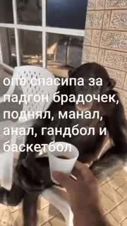 😔 опа спасипа за
падгон брадочек,
поднял, манал,
анал, гандбол и
баскетбол ลิง, ข้อความ, สัตว์ telegram sticker