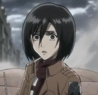 😟 Mikasa Ackerman Attack on Titan anime, attack on titan, mikasa, ackerman, dessin animé, personnage telegram sticker