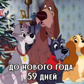 🎄 ДО НОВОГО ГОДА 59 ДНЕЙ chien, dessin animé, vacances, nouvel an, compte à rebours whatsapp sticker