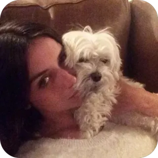 🫥 woman, dog, Maltese, pet, animal, portrait telegram sticker
