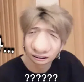 🍕 ???????? whatsapp sticker
