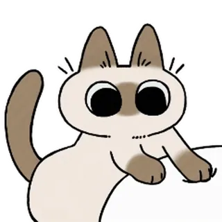 🐾 chat, siamois, autocollant, dessin animé, mignon, animal whatsapp sticker