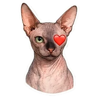 💚 telegram sticker