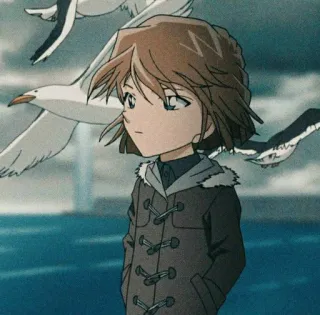 🥺 Anime, Dziewczyna, Morze, Ptaki, Niebo, Kurtka telegram sticker