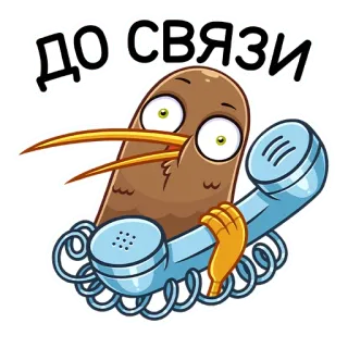 ☎️ ДО СВЯЗИ киви, птица, телефон, звонок, русский, фраза telegram sticker
