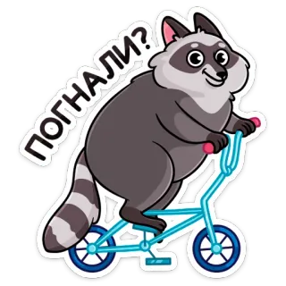 🚲 ПОГНАЛИ? rakun, sepeda, kartun, hewan, stiker, Rusia, teks telegram sticker