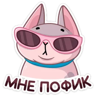 😎 МНЕ ПОФИГ gatto, occhiali da sole, cool, indifferente, russo telegram sticker