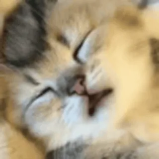😴