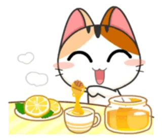 😄 cat, honey, lemon, tea, cute, drink telegram sticker