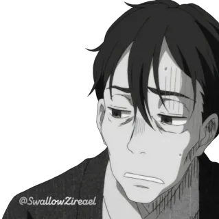 😩 SwallowZirael Anime, Nhân vật, Buồn, Lo lắng telegram sticker