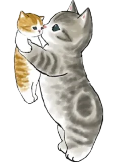 😽 gato, gatinho, animais, fofo, família, animal de estimação telegram sticker