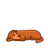 😴 หมา, ผู้ชาย, การ์ตูน, สัตว์, เครา, สัตว์เลี้ยง telegram sticker
