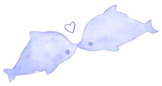 dolphin telegram stickers