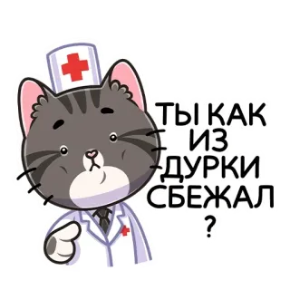 👨‍⚕️ ТЫ КАК ИЗ ДУРКИ СБЕЖАЛ? chat, docteur, meme, drôle, texte, infirmière, hôpital whatsapp sticker