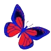 🦋