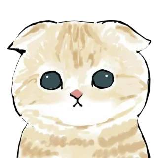 🥺 kucing, imut, hewan, anak kucing, hewan peliharaan, Scottish Fold telegram sticker
