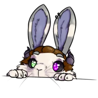 🐰 bunny, animal, cute, cartoon, illustration whatsapp sticker
