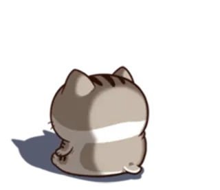 😞 Katze, Tier, Kätzchen, süß, Haustier, häuslich whatsapp sticker