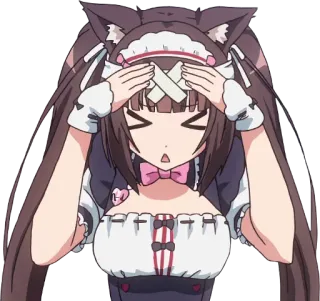 💥 Anime, Garota gato, Empregada, Bandagem, Fofo telegram sticker