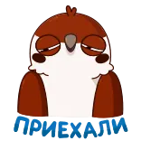 😢 Depression bird, sad, depressed, cartoon, animal whatsapp sticker