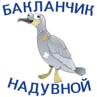 🖕 БАКЛАНЧИК
НАДУВНОЙ bird, sticker, cartoon, Russian text telegram sticker