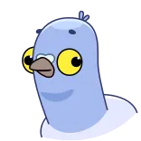 😳 piccione, uccello, cartone animato, divertente, animale telegram sticker