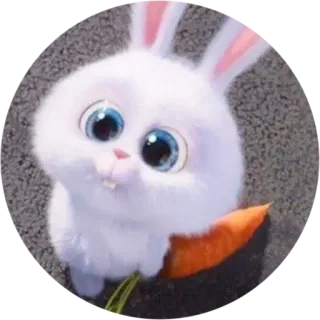 🤓 coniglio, coniglietto, animale, carino, carota whatsapp sticker