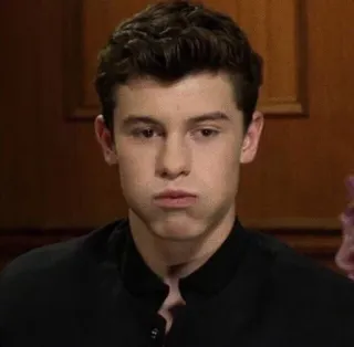 😪 Shawn Mendes singer, celebrity, portrait, shawn mendes, facial expression, young, person telegram sticker