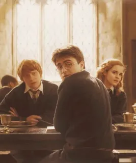 🤔 Harry Potter Harry Potter, Ron Weasley, Hermione Granger, personagens, filme, magia, fantasia telegram sticker