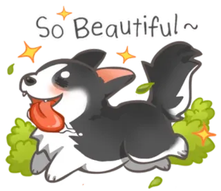 😆 So Beautiful~ dog, animal, cute, beautiful, pet, cartoon telegram sticker