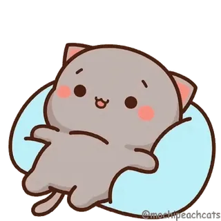 😴 gato, lindo, gatito, dibujos animados, pegatina, animal telegram sticker