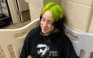 🌊 Billie Eilish Billie Eilish, นักร้อง, คนดัง, ผมสีเขียว telegram sticker