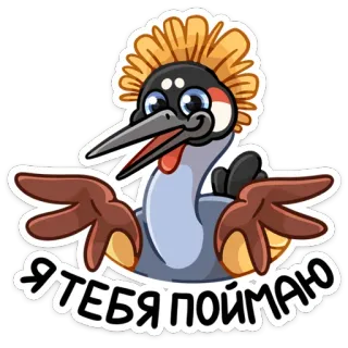 🤷‍♂ Я ТЕБЯ ПОИМАЮ pájaro, grulla, animal, dibujo animado telegram sticker