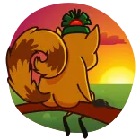 🌄 scoiattolo, animale, natura, tramonto, albero telegram sticker