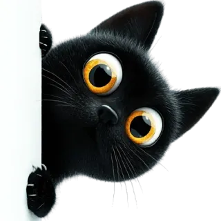 👀 kot, czarny kot, zwierzę, słodki, naklejka, kreskówka, sztuka cyfrowa whatsapp sticker