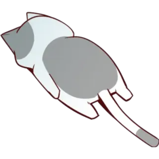 😴 mèo, động vật, thú cưng, dễ thương, nhà, mèo telegram sticker