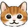 🐱