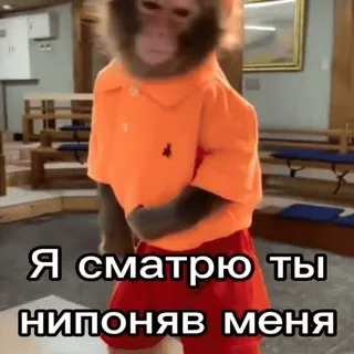 😡 Я сматрю ты нипоняв меня telegram sticker