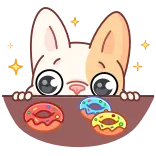 🍩 gato, donuts, comida, lindo, kawaii, postre, dulces, animal whatsapp sticker