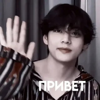 🐻 ПРИВЕТ Gruß, Person, Hallo, Winken whatsapp sticker