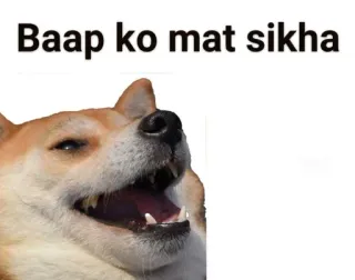 🤔 Doge Doge Meme Baap ko mat sikha telegram sticker