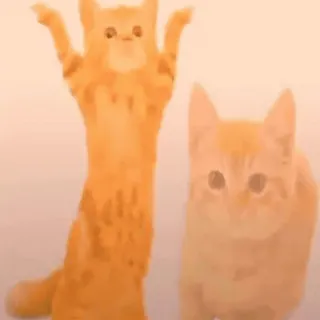 💃 whatsapp sticker