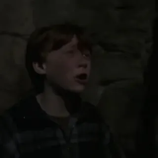 🦁 Ron Weasley Harry Potter ロン・ウィーズリー, ハリー・ポッター, 魔法使い, 魔法, 友達, 魔法 telegram sticker