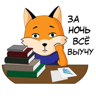 😳 ЗА НОЧЬ ВСЁ ВЫУЧУ fox, studying, books, night, tired, cartoon, animal telegram sticker