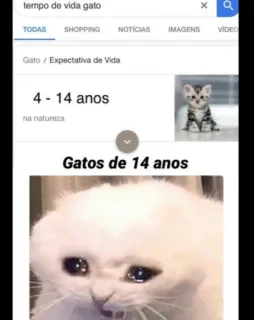 😭 tempo de vida gato
Gato / Expectativa de Vida
4-14 anos
na natureza
Gatos de 14 anos кот, питомец, животное, мем, грустный, плачущий telegram sticker