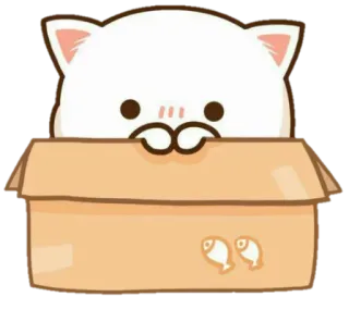 👀 gato, gatito, caja, lindo, animal telegram sticker