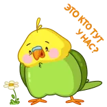 💐 bird, cute, cartoon, animal, sticker, kawaii telegram sticker