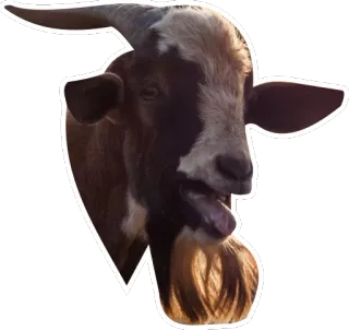 😋 goat, animal, horns, mammal telegram sticker