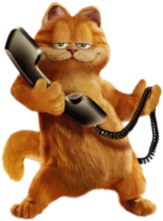 📱 Garfield Garfield, chat, dessin animé, orange, téléphone, humour whatsapp sticker