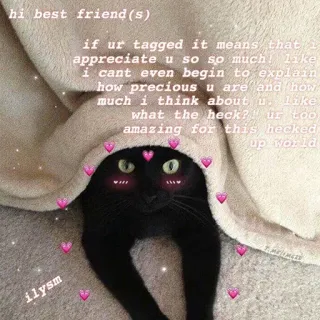 ❤️ hi best friend(s)
if ur tagged it means that i
appreciate u so so much! like
i cant even begin to explain
how precious u are and how
much i think about u. like
what the heck?!" ur too
amazing for this hecked
up world
ilysm chat, amitié, mignon, cœur, affection, animal de compagnie, drôle telegram sticker
